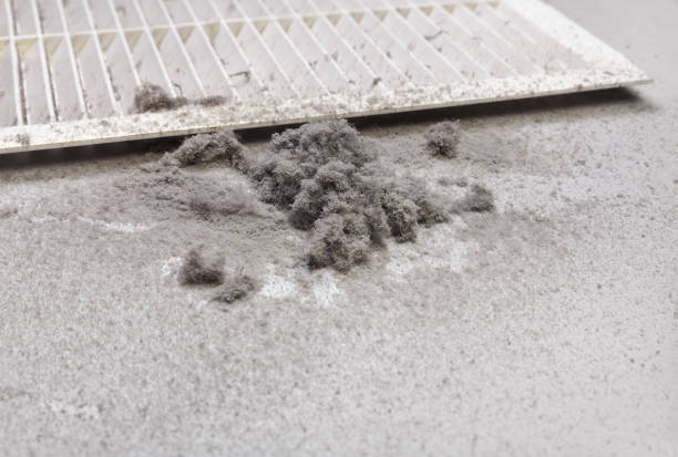 Best Best Air Duct Cleaning Company  in Stratford, TX
